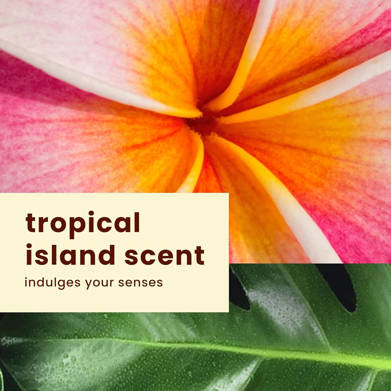 Hawaiian Tropic Everyday Active Sunscreen Lotion – image 7